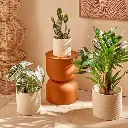 E-Com Web Images (ASHERAH) - 2026-04-23T112501.665.webp