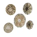 Seagrass Wall Décor 5pc (2).webp