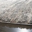 210.webp
