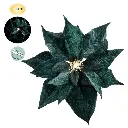 3.webp