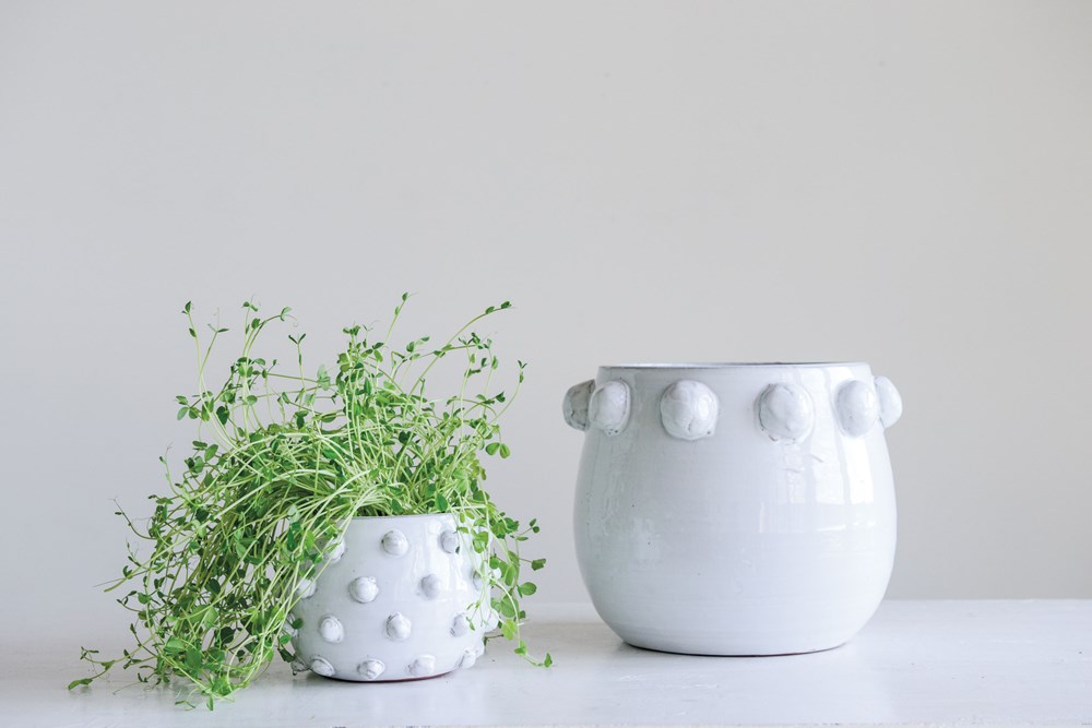 White Terra-cotta Planter with Raised Dots 10in