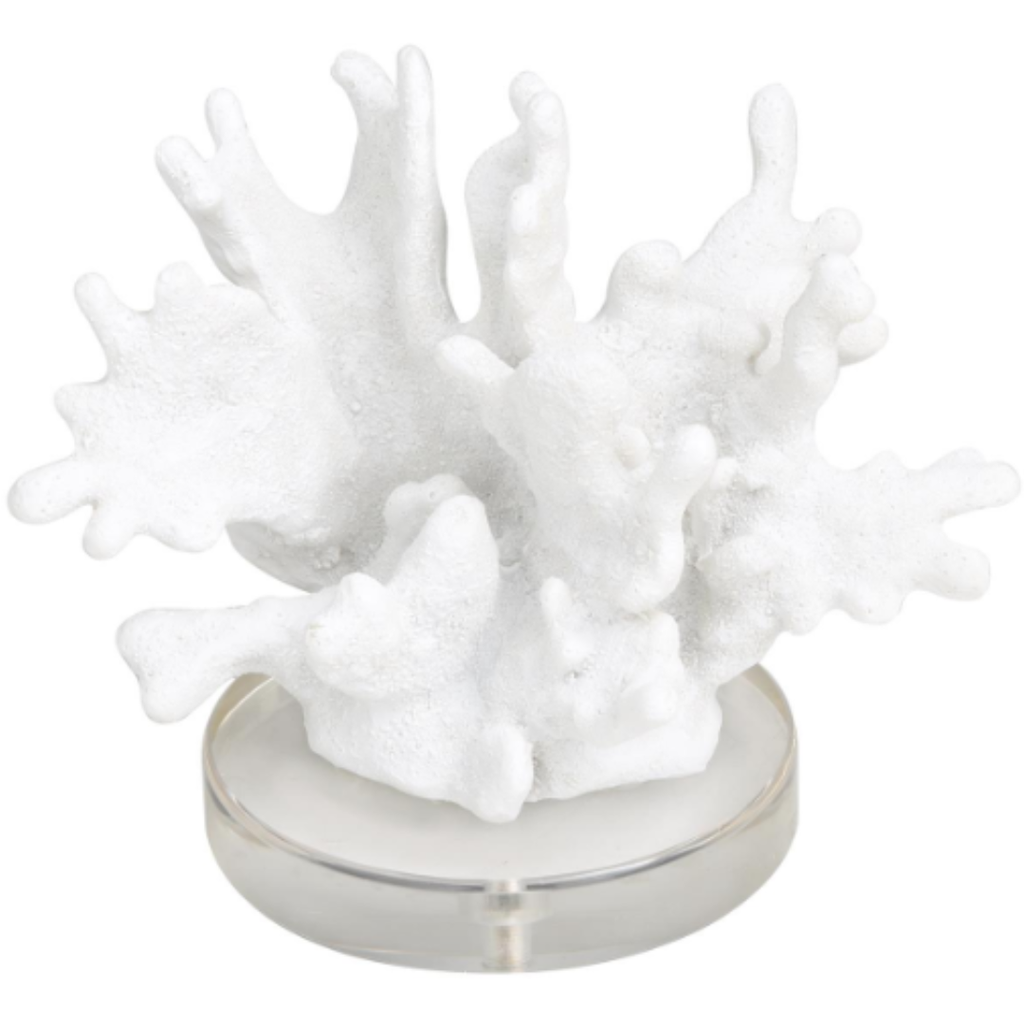 Coral Sculpture II on Crystal Base