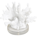 Coral Sculpture II on Crystal Base