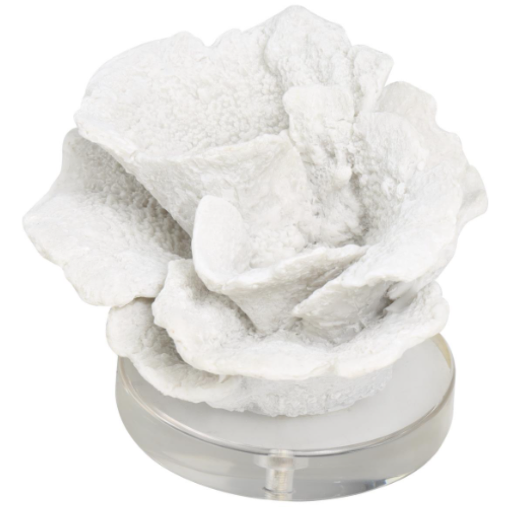 Coral Sculpture III on Crystal Base
