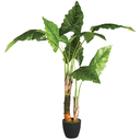 Banana Tree in Pot 4ft
