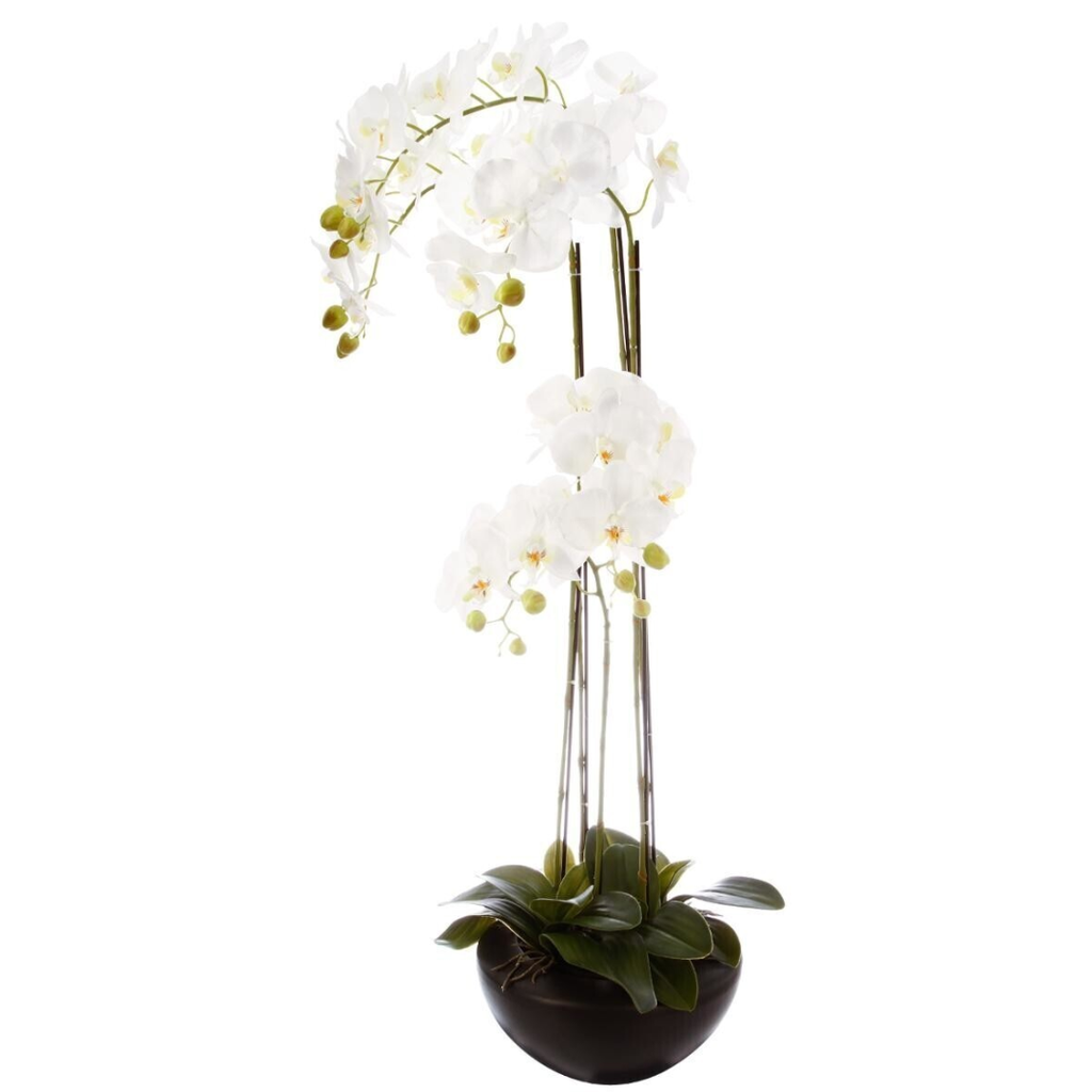 White Orchid in Black Ceramic Pot 115cm