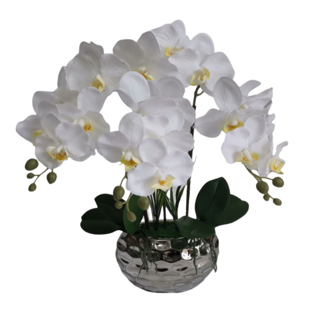 Potted Orchid White 16in
