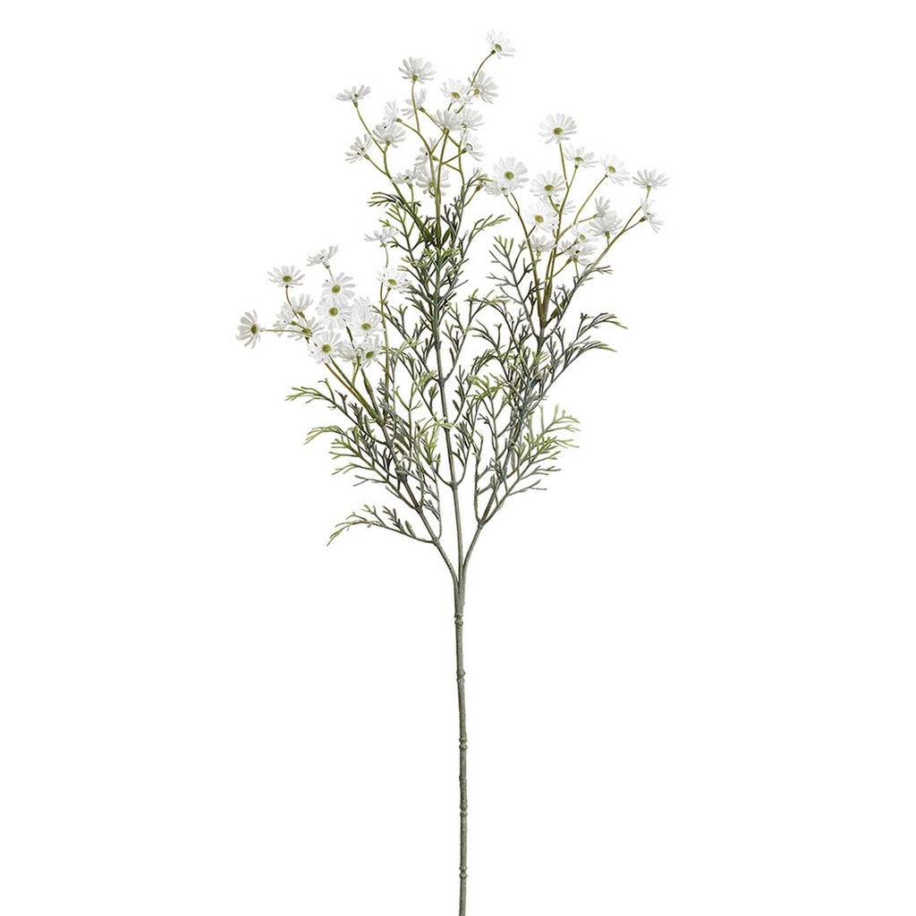 Marguerite Daisy Spray White 26in