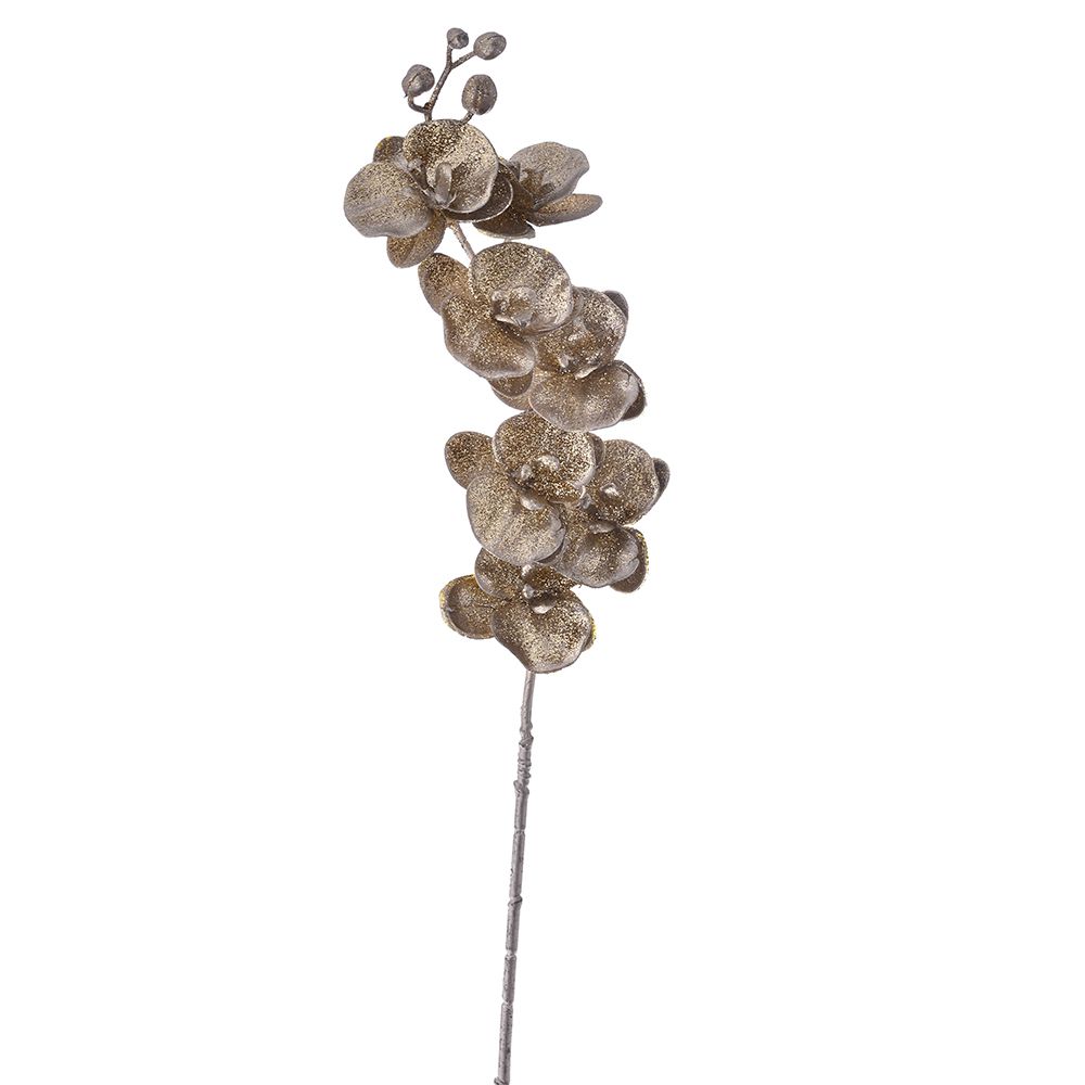 Champagne Orchid Branch 30in