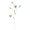 Cosmos Irridescent Spray 26in