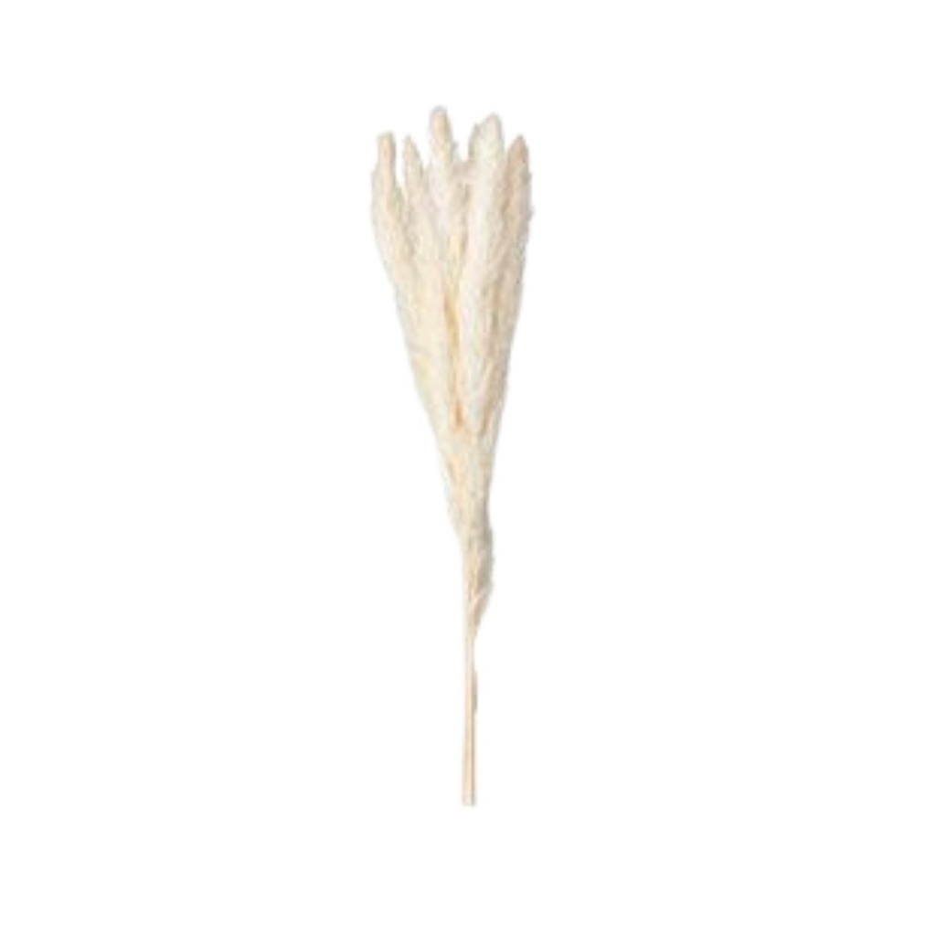 Pampas Spray Offwhite 29in
