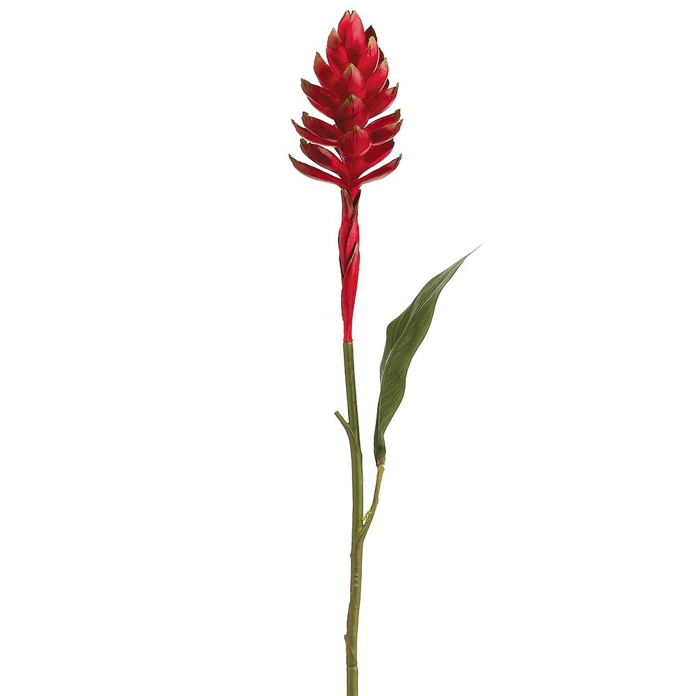 Ginger Spray Red 30in