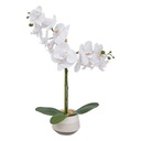 Orchid Ceramic Pot 20in