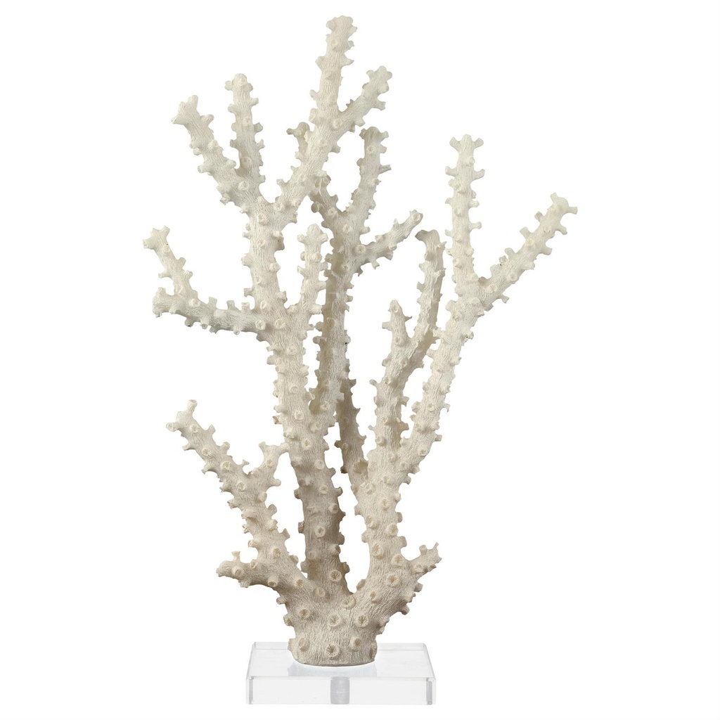 Coral Sculpture With Clear Acrylic Base 14in