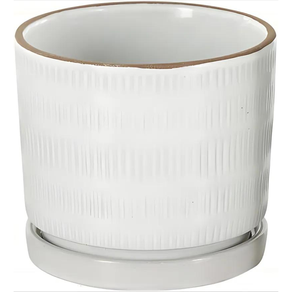 Ceramic Dot & Line Planter White 5in