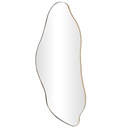 Organic Shape Wall Mirror Gold Frame 20x48in