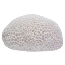 Coral Shaped LED Light White 6x3.25in