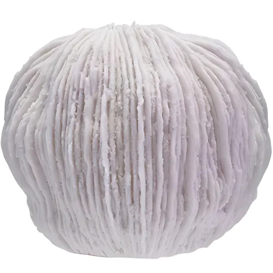 Coral Shaped LED Light White 11x9in