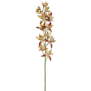 Cymbidum Orchid Spray Rust Yellow 38in