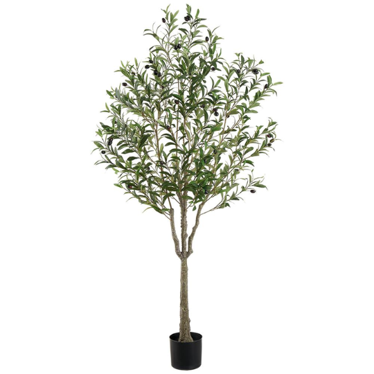 Olive Tree 63in