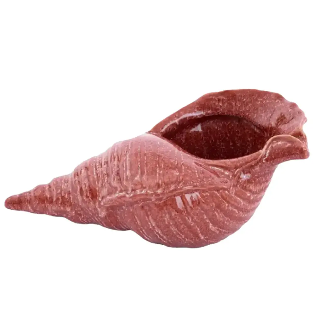 Ceramic Seashell Coral 12in