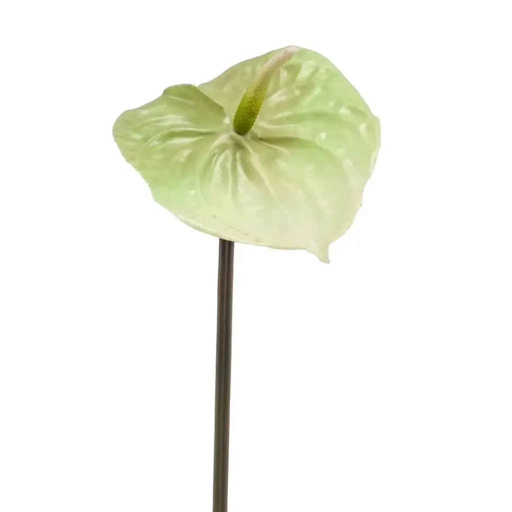 Anthurium Spray Green 25.5in