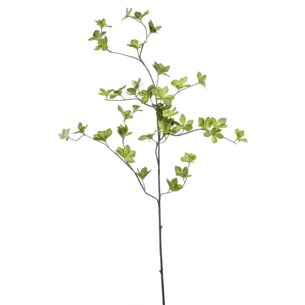 Cornus Leaf Spray Green 45in