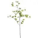 Cornus Leaf Spray Green 45in