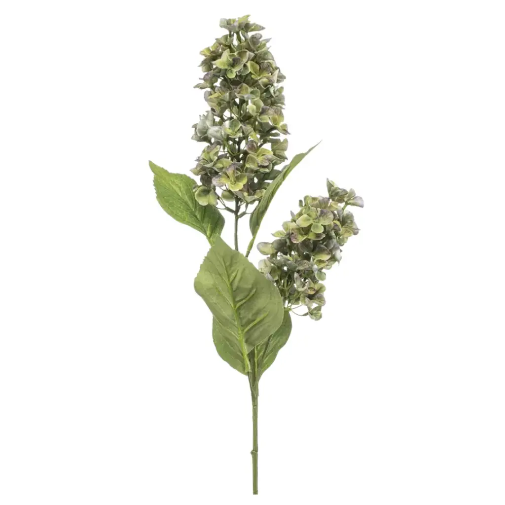 Hydrangea Paniculata Spray Green 30in