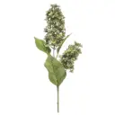 Hydrangea Paniculata Spray Green 30in