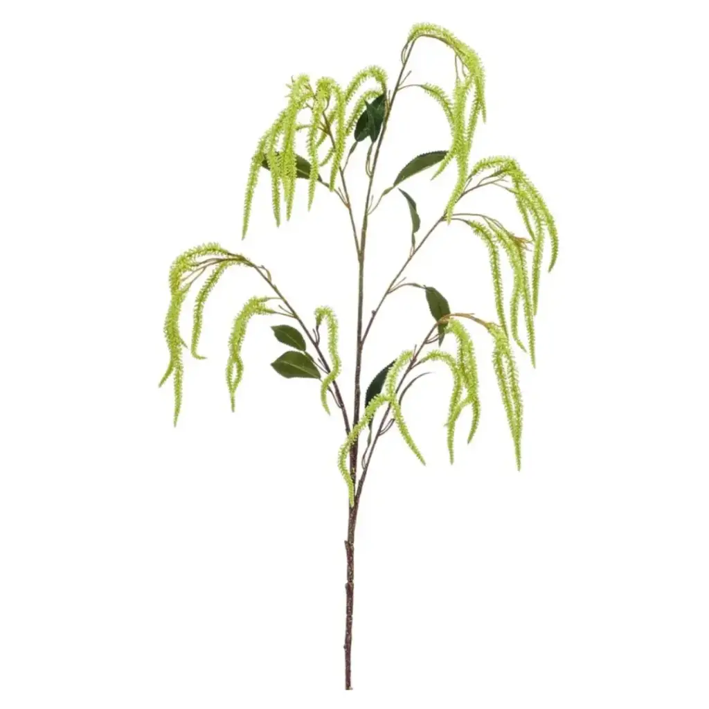 Amaranthus Spray Green 39in