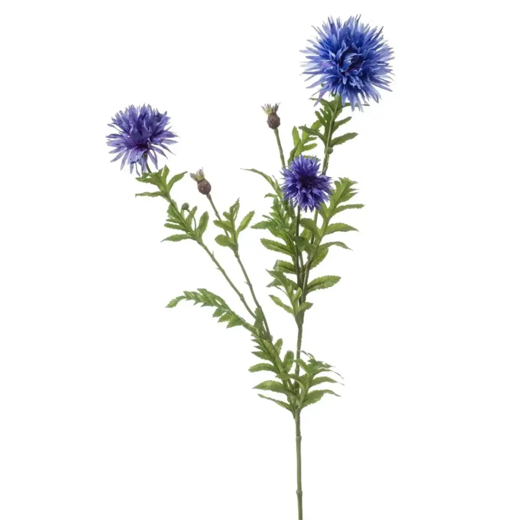 Centaurea Spray Blue 39in