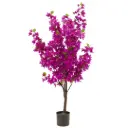 Bougainvillea Tree Purple 57in