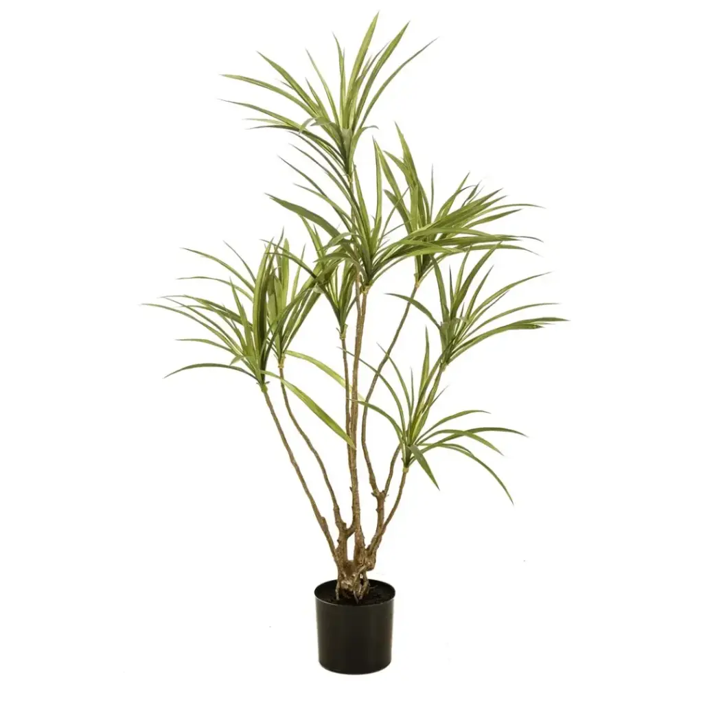 Dracaena Tree 47in