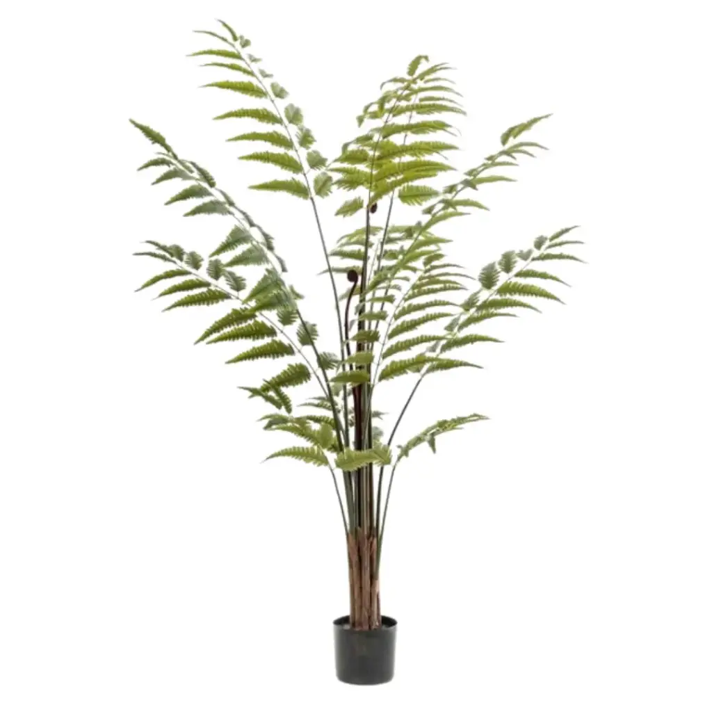 Leather Fern Tree Green 59in