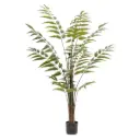 Leather Fern Tree Green 59in