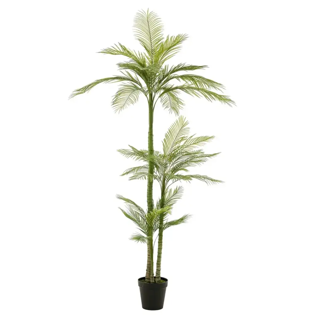 Phoenix Palm Deluxe 8ft