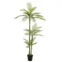 Phoenix Palm Deluxe 8ft