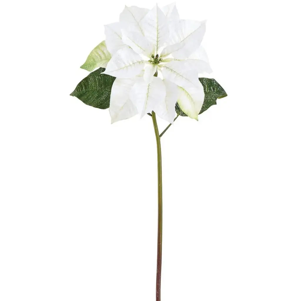 Glittered Poinsettia Spray White 24in