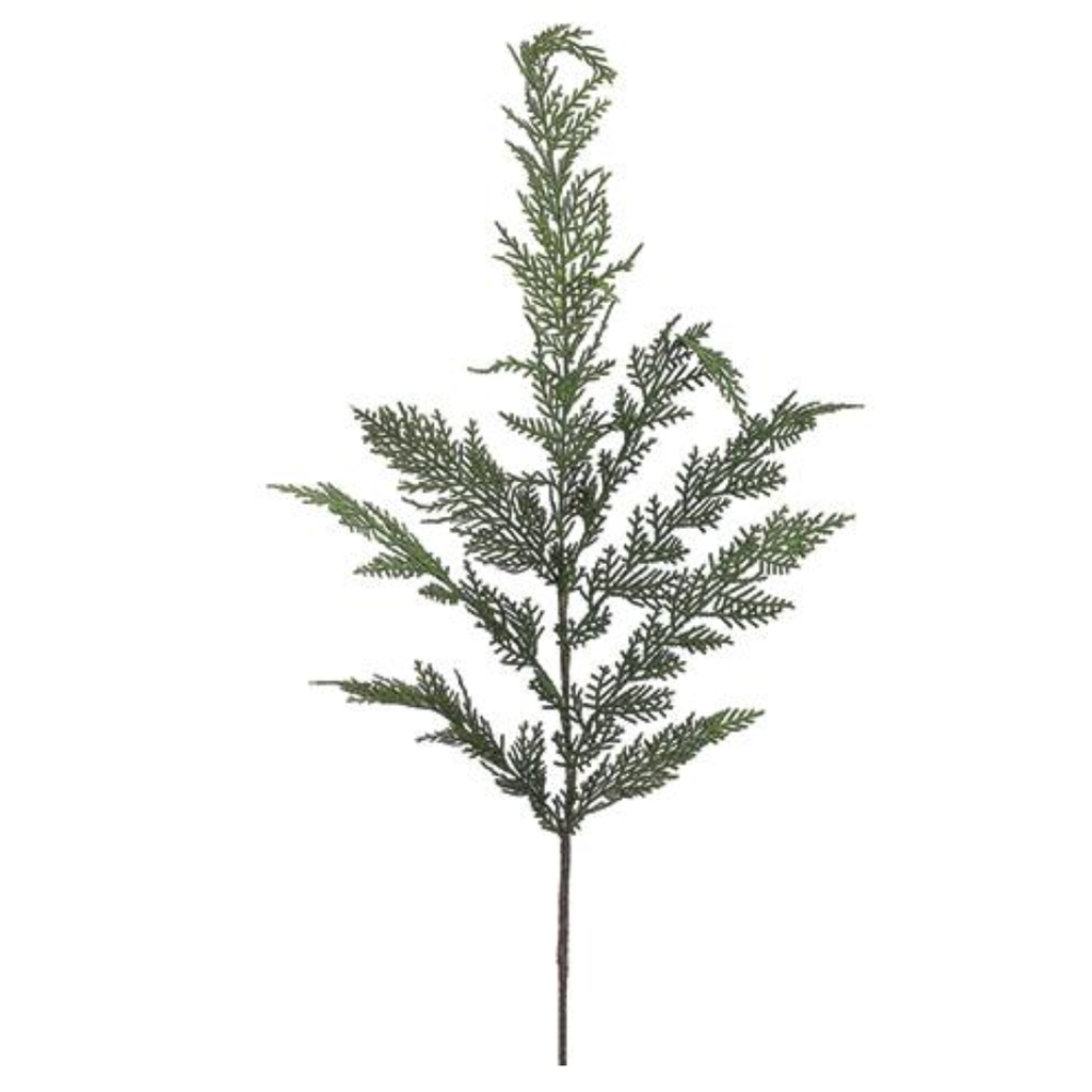 Cedar Spray 30in