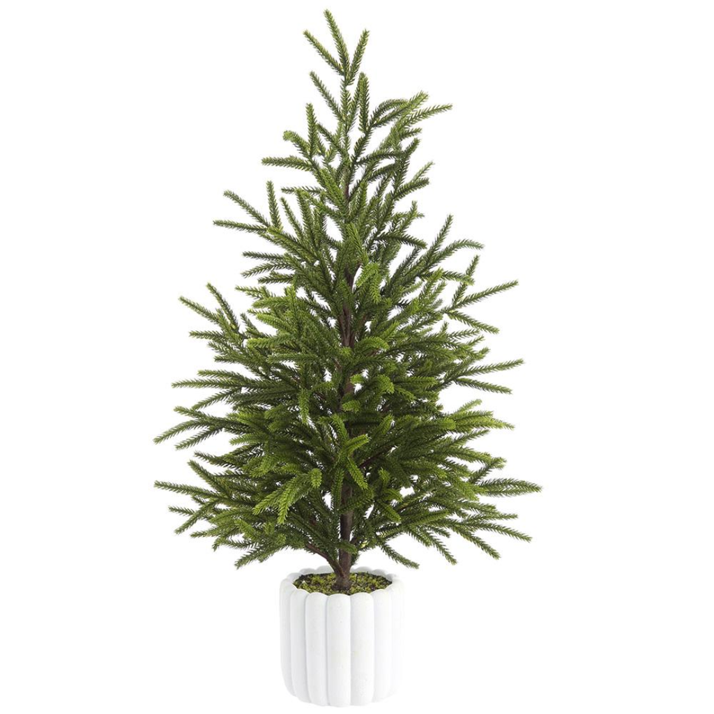 Cypress Tree in Cement Pot 27in