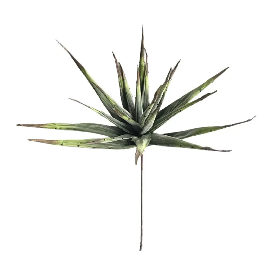 Malulu Green Stem 35in