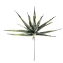 Malulu Green Stem 35in