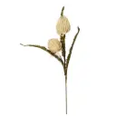 Aroma Delights Yellow Stem 27.5in