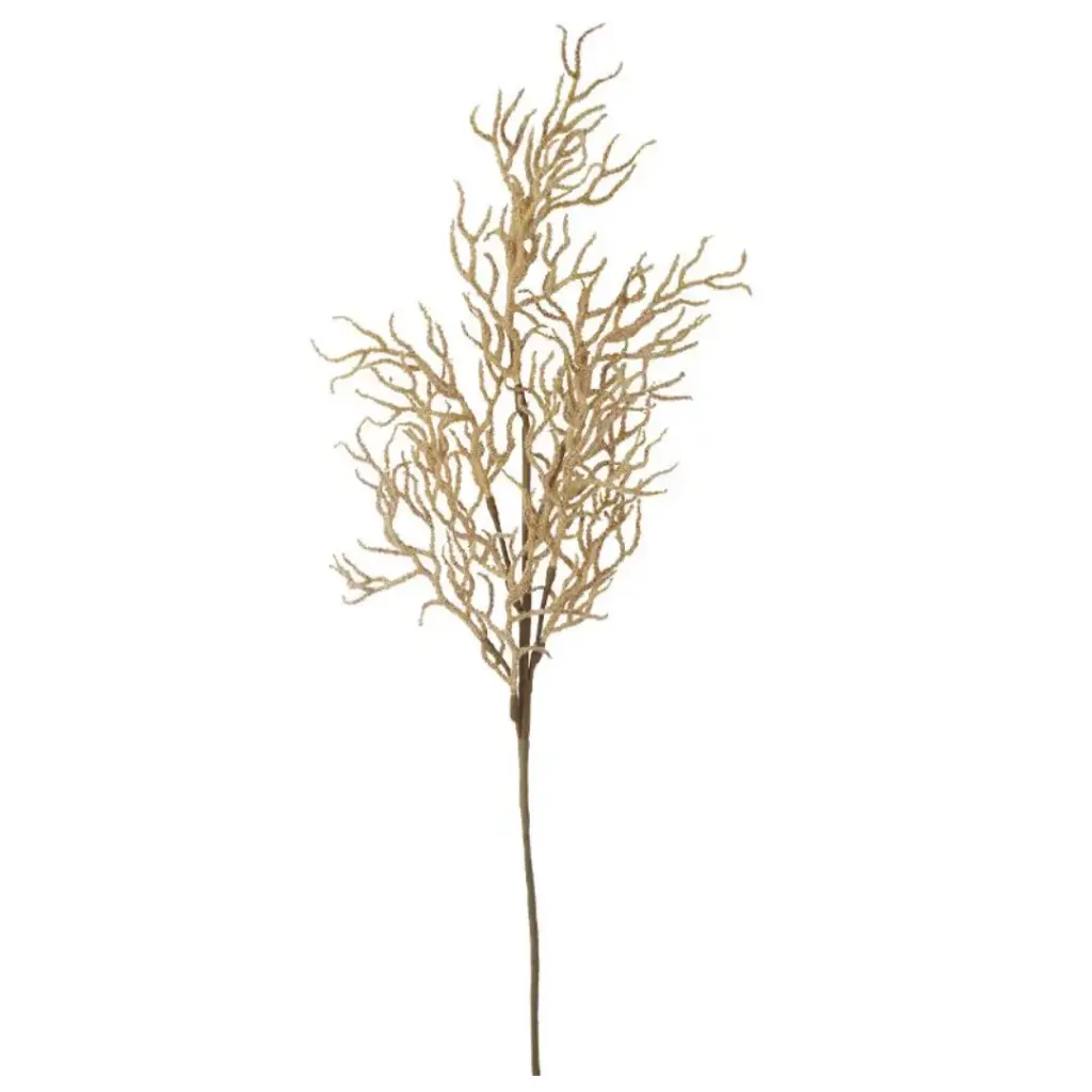 Aroma Delights Cream Stem 29.5in