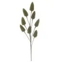 Aroma Whisper Green Stem 25in