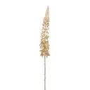 Eremurus Branch Gold 42in