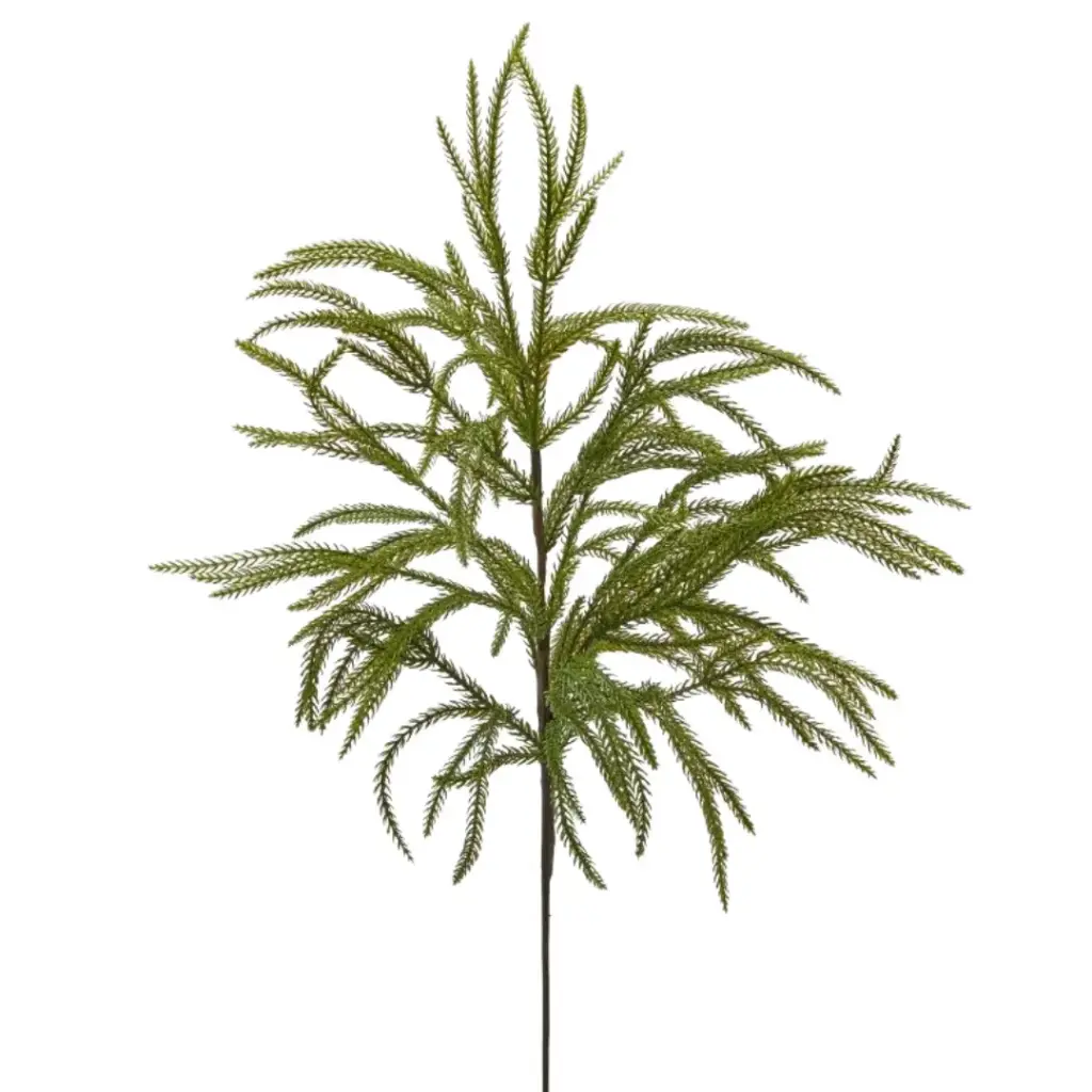 Cryptomeria Branch 33in