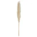 Natural Pampas Spray 43in 3pc