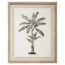 Tiana Print Framed 1pc Assorted 16x20in